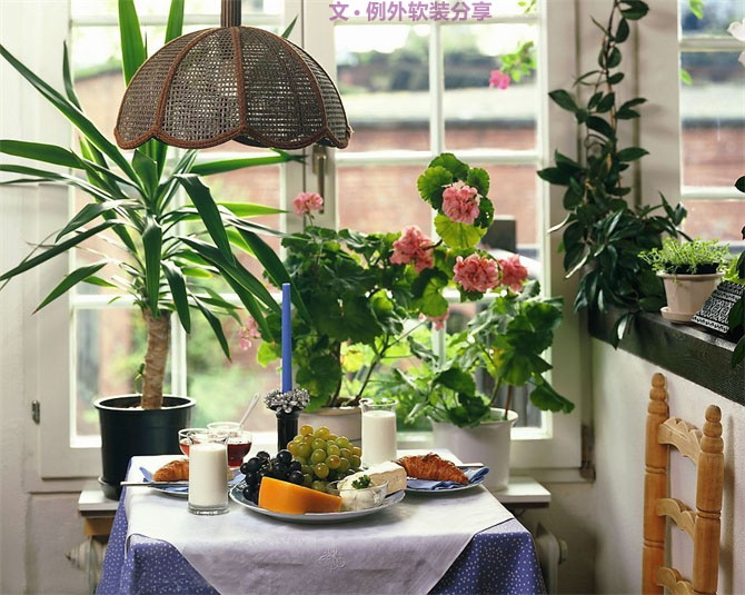 家里植物這樣擺，打造”另類“居室（一）