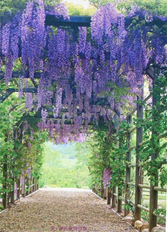 等我們老了，就在這樣的家居環(huán)境里過！