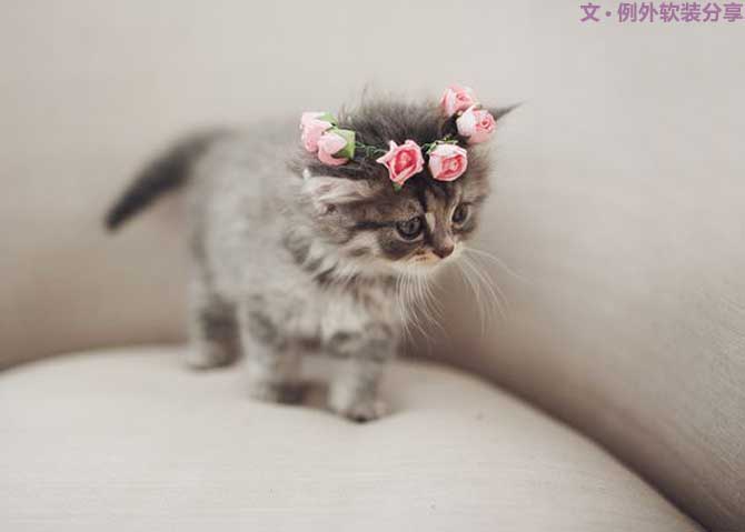 有了這五個軟裝設(shè)計原則，還怕搭配出錯嗎？