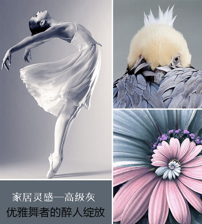 絕色搭配！這才是高級灰應(yīng)有的姿態(tài)！