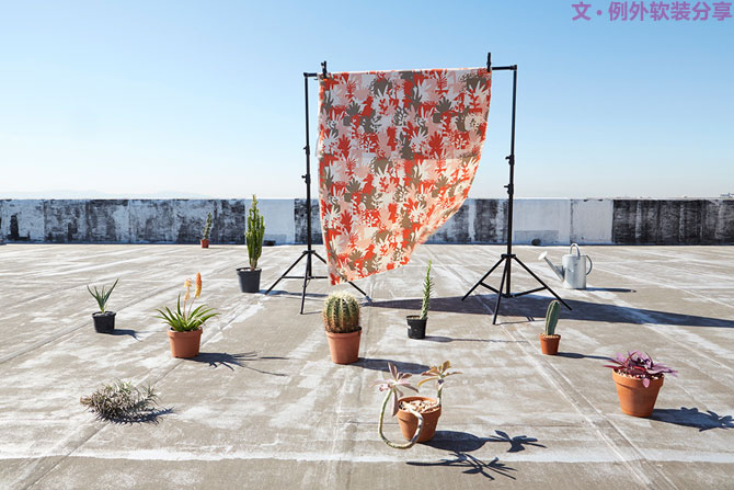 這些自帶天然氣質(zhì)的網(wǎng)紅綠植，都成了設(shè)計界的新寵兒！