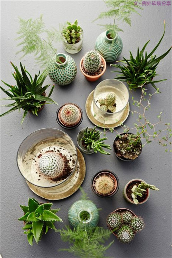 綠色大行其道，設(shè)計(jì)師們都愛得不要不要的-別墅設(shè)計(jì),軟裝設(shè)計(jì),室內(nèi)設(shè)計(jì),豪宅設(shè)計(jì),深圳例外軟裝設(shè)計(jì)公司