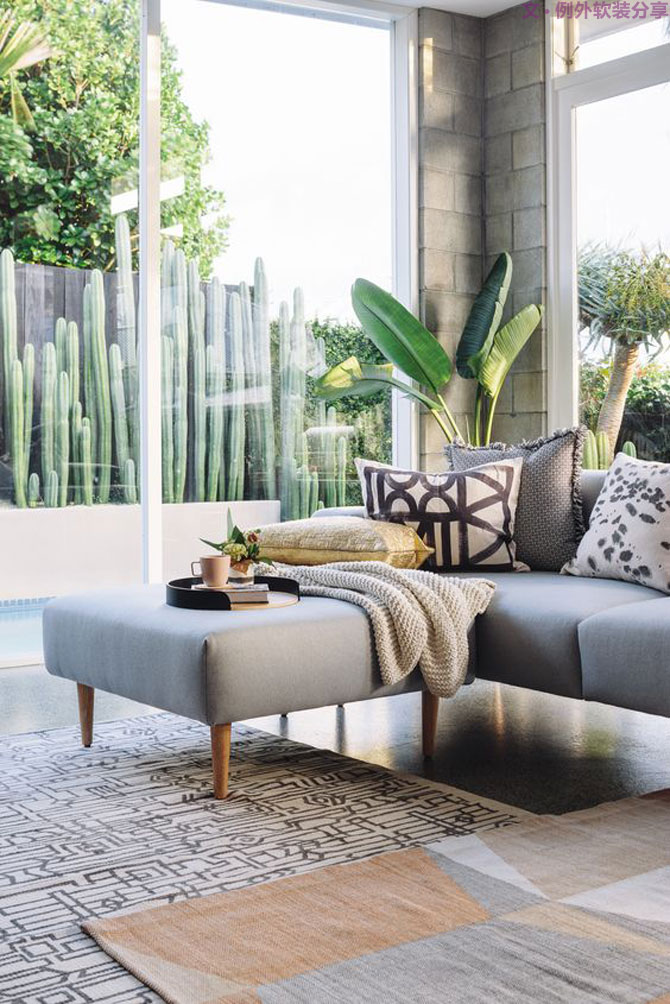 這些自帶天然氣質(zhì)的網(wǎng)紅綠植，都成了設(shè)計界的新寵兒！-別墅軟裝設(shè)計,軟裝設(shè)計,室內(nèi)軟裝設(shè)計,室內(nèi)設(shè)計,豪宅設(shè)計,深圳例外軟裝設(shè)計公司