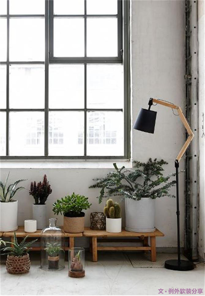 家里植物這樣擺，打造”另類“居室（一）-別墅設(shè)計,軟裝設(shè)計,室內(nèi)設(shè)計,豪宅設(shè)計,深圳例外軟裝設(shè)計公司