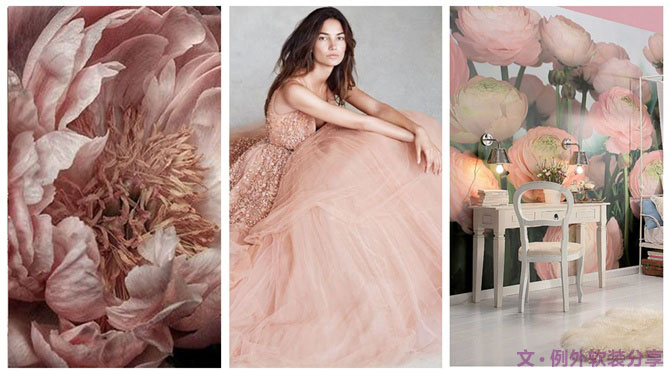 【例外·花箋記】洋牡丹，花叢中的人氣精靈-別墅設(shè)計(jì),軟裝設(shè)計(jì),室內(nèi)設(shè)計(jì),豪宅設(shè)計(jì),深圳例外軟裝設(shè)計(jì)公司