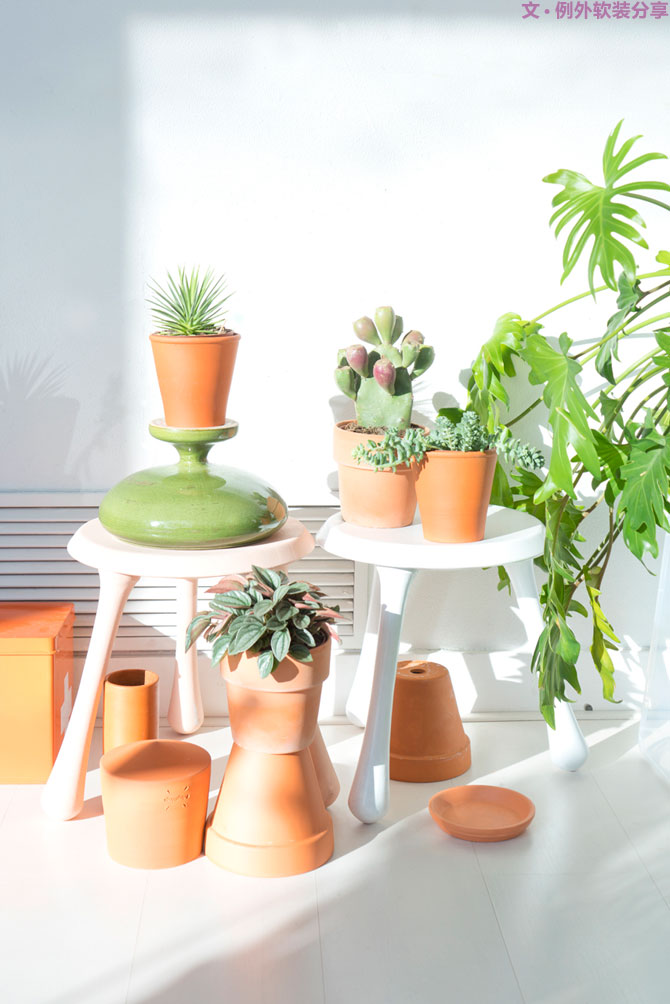 這些自帶天然氣質(zhì)的網(wǎng)紅綠植，都成了設(shè)計界的新寵兒！-別墅軟裝設(shè)計,軟裝設(shè)計,室內(nèi)軟裝設(shè)計,室內(nèi)設(shè)計,豪宅設(shè)計,深圳例外軟裝設(shè)計公司