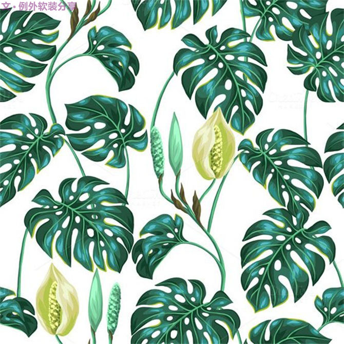 龜背竹遠不止能去除甲醛，原來還有這么多作用！-別墅設計,軟裝設計,室內設計,豪宅設計,深圳例外軟裝設計公司