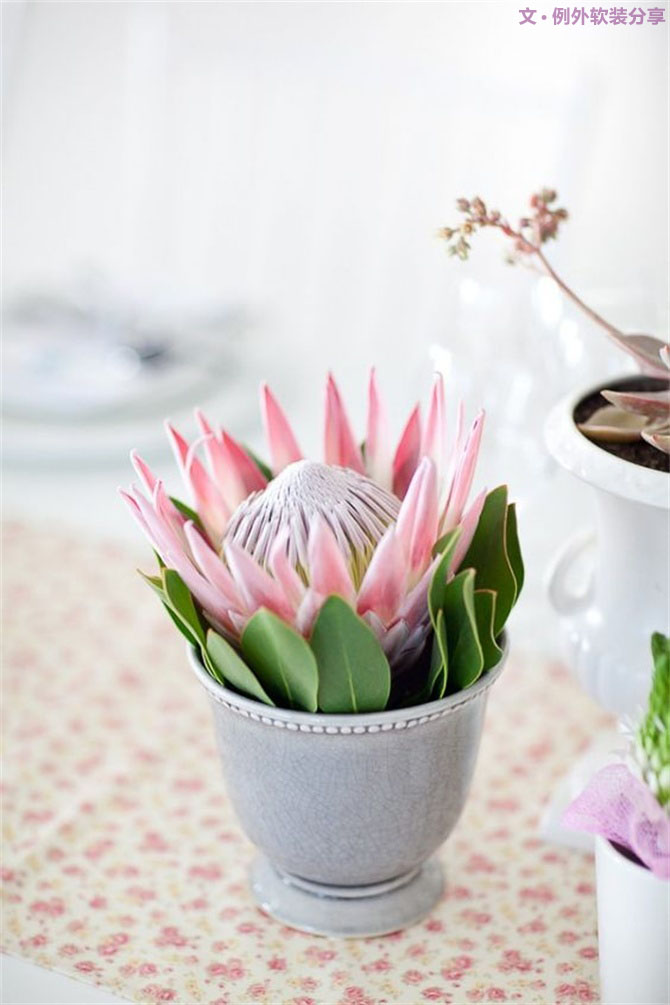 【例外·花箋記】沒(méi)有哪個(gè)姑娘能拒絕這樣一支奇葩！-別墅設(shè)計(jì),軟裝設(shè)計(jì),室內(nèi)設(shè)計(jì),豪宅設(shè)計(jì),深圳例外軟裝設(shè)計(jì)公司