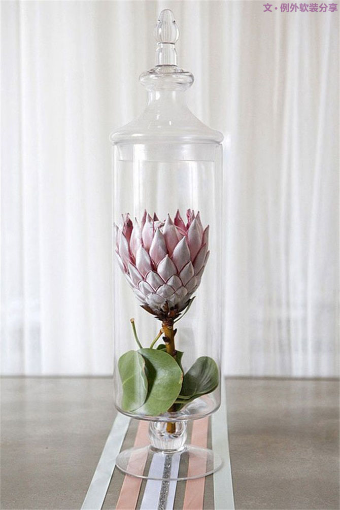 【例外·花箋記】沒(méi)有哪個(gè)姑娘能拒絕這樣一支奇葩！-別墅設(shè)計(jì),軟裝設(shè)計(jì),室內(nèi)設(shè)計(jì),豪宅設(shè)計(jì),深圳例外軟裝設(shè)計(jì)公司