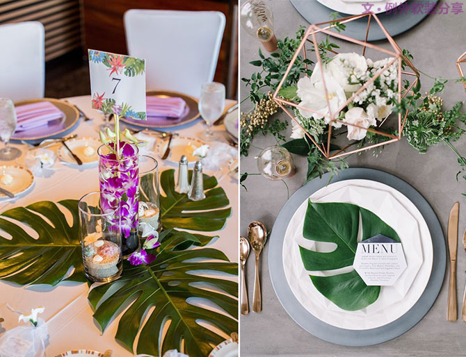 龜背竹遠不止能去除甲醛，原來還有這么多作用！-別墅設計,軟裝設計,室內設計,豪宅設計,深圳例外軟裝設計公司