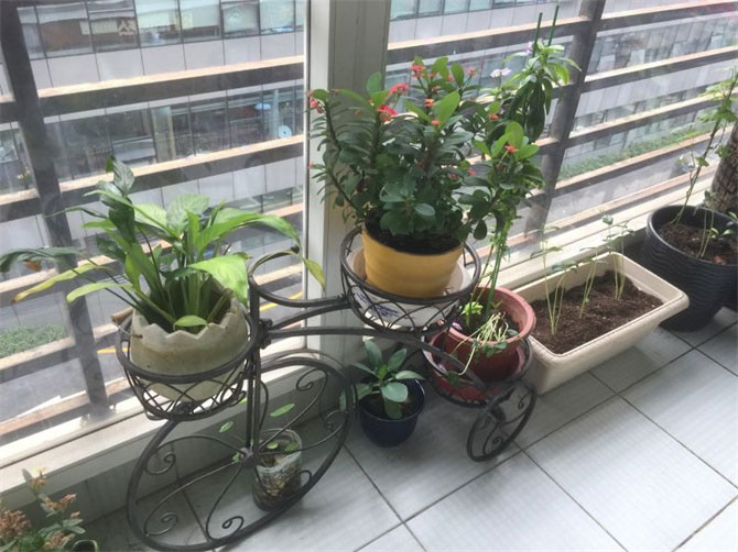 CCTV2《交換空間》收官之作--48小時，教你打造專屬的“秘密花園”-別墅設(shè)計,軟裝設(shè)計,室內(nèi)設(shè)計,豪宅設(shè)計,深圳例外軟裝設(shè)計公司