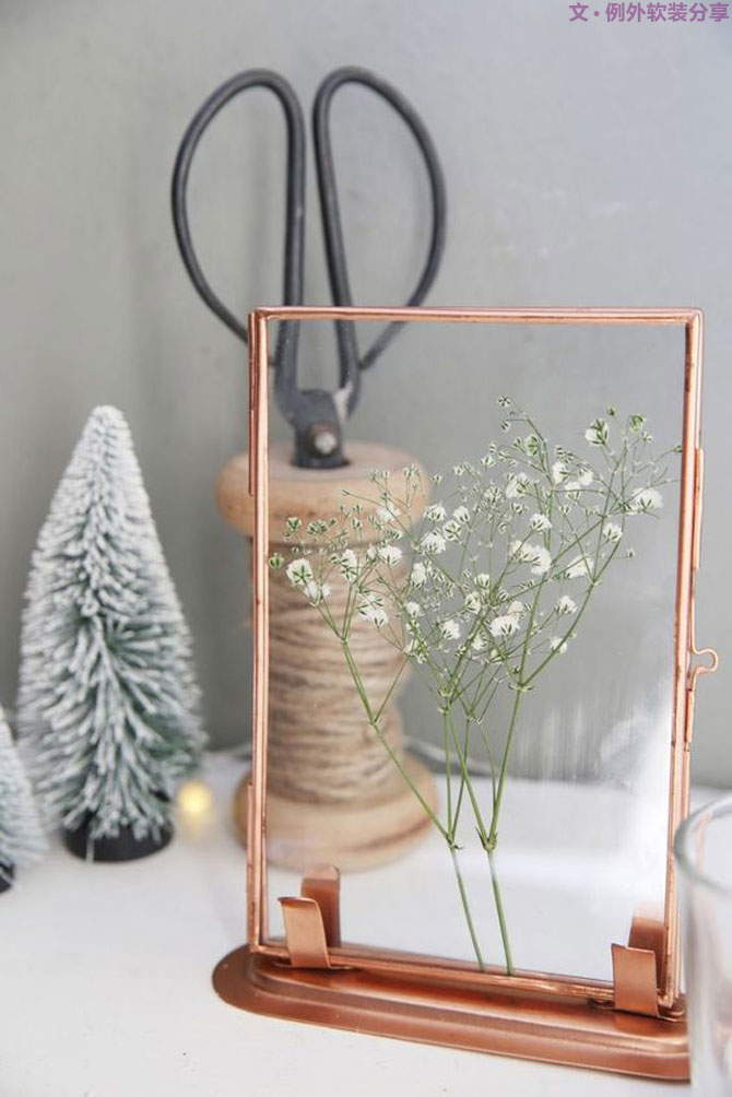 養(yǎng)不活仙人掌，卻硬生生把家里變成了小森林！-別墅軟裝設計,軟裝設計,室內軟裝設計,室內設計,豪宅設計,深圳例外軟裝設計公司