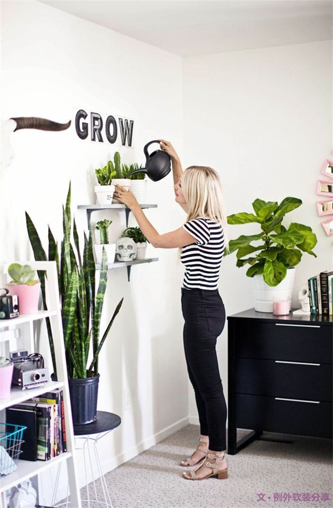 家里植物這樣擺，打造”另類“居室（一）-別墅設(shè)計,軟裝設(shè)計,室內(nèi)設(shè)計,豪宅設(shè)計,深圳例外軟裝設(shè)計公司