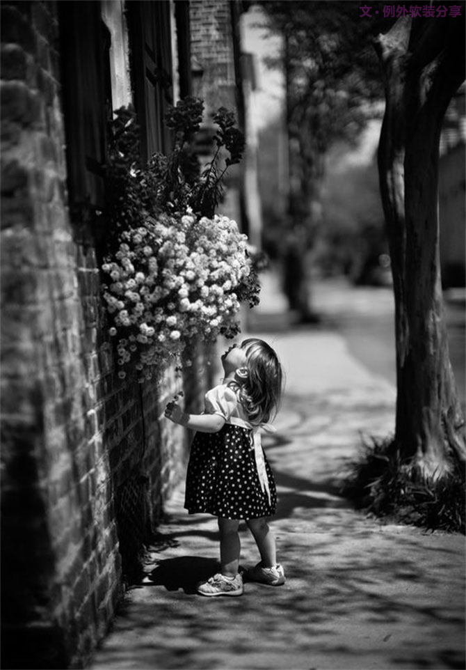 【例外·花箋記】洋牡丹，花叢中的人氣精靈-別墅設(shè)計(jì),軟裝設(shè)計(jì),室內(nèi)設(shè)計(jì),豪宅設(shè)計(jì),深圳例外軟裝設(shè)計(jì)公司