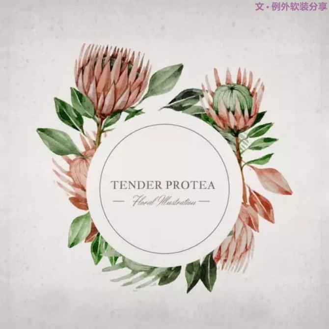 【例外·花箋記】沒(méi)有哪個(gè)姑娘能拒絕這樣一支奇葩！-別墅設(shè)計(jì),軟裝設(shè)計(jì),室內(nèi)設(shè)計(jì),豪宅設(shè)計(jì),深圳例外軟裝設(shè)計(jì)公司