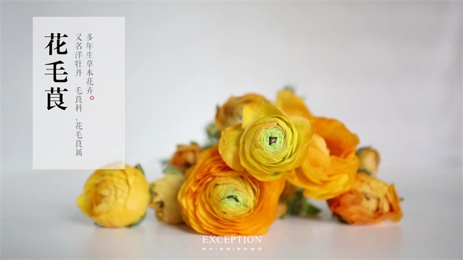 【幾分鐘.軟裝課堂】她用3分鐘搞定一個浪漫花球，就憑這些？-別墅設(shè)計,軟裝設(shè)計,室內(nèi)設(shè)計,豪宅設(shè)計,深圳例外軟裝設(shè)計公司