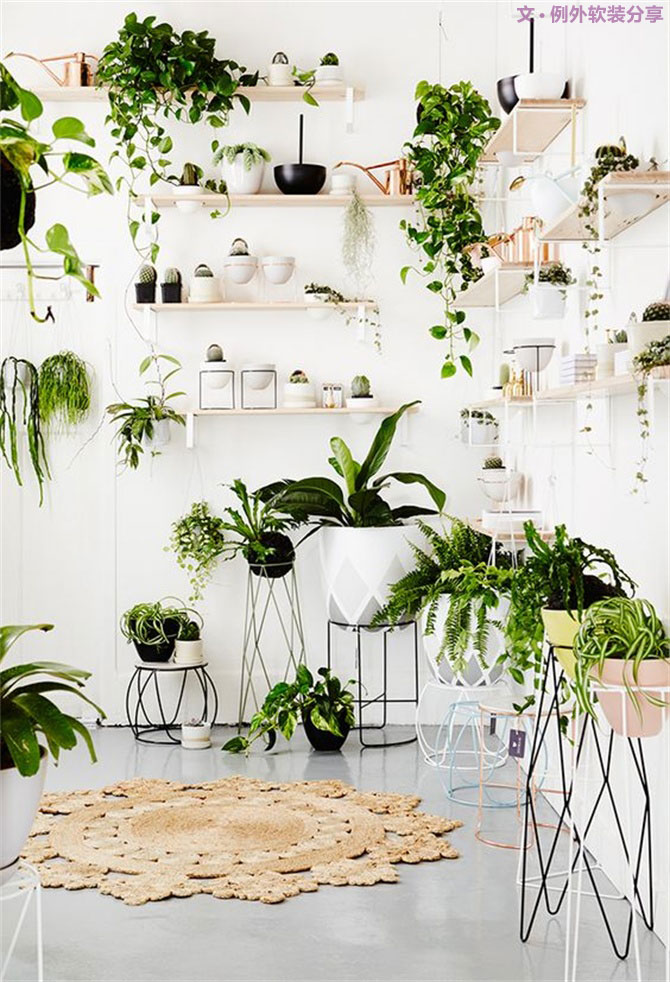 這種任性的綠植新玩法，你值得一試！-別墅設(shè)計,軟裝設(shè)計,室內(nèi)設(shè)計,豪宅設(shè)計,深圳例外軟裝設(shè)計公司