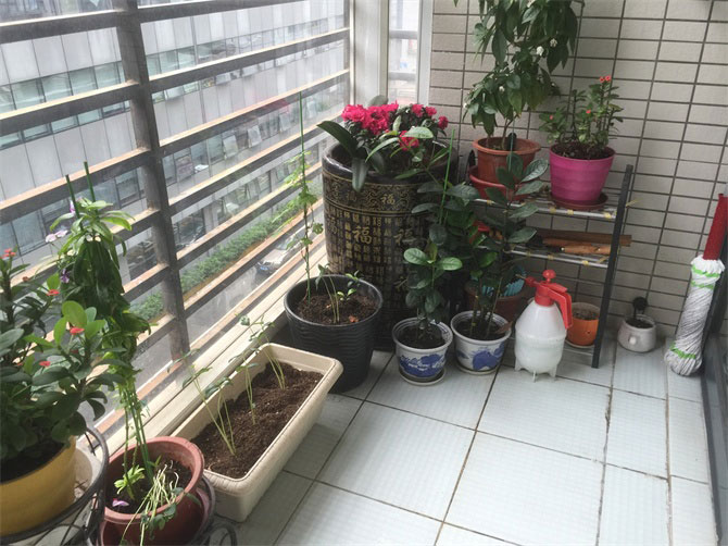 CCTV2《交換空間》收官之作--48小時，教你打造專屬的“秘密花園”-別墅設(shè)計,軟裝設(shè)計,室內(nèi)設(shè)計,豪宅設(shè)計,深圳例外軟裝設(shè)計公司