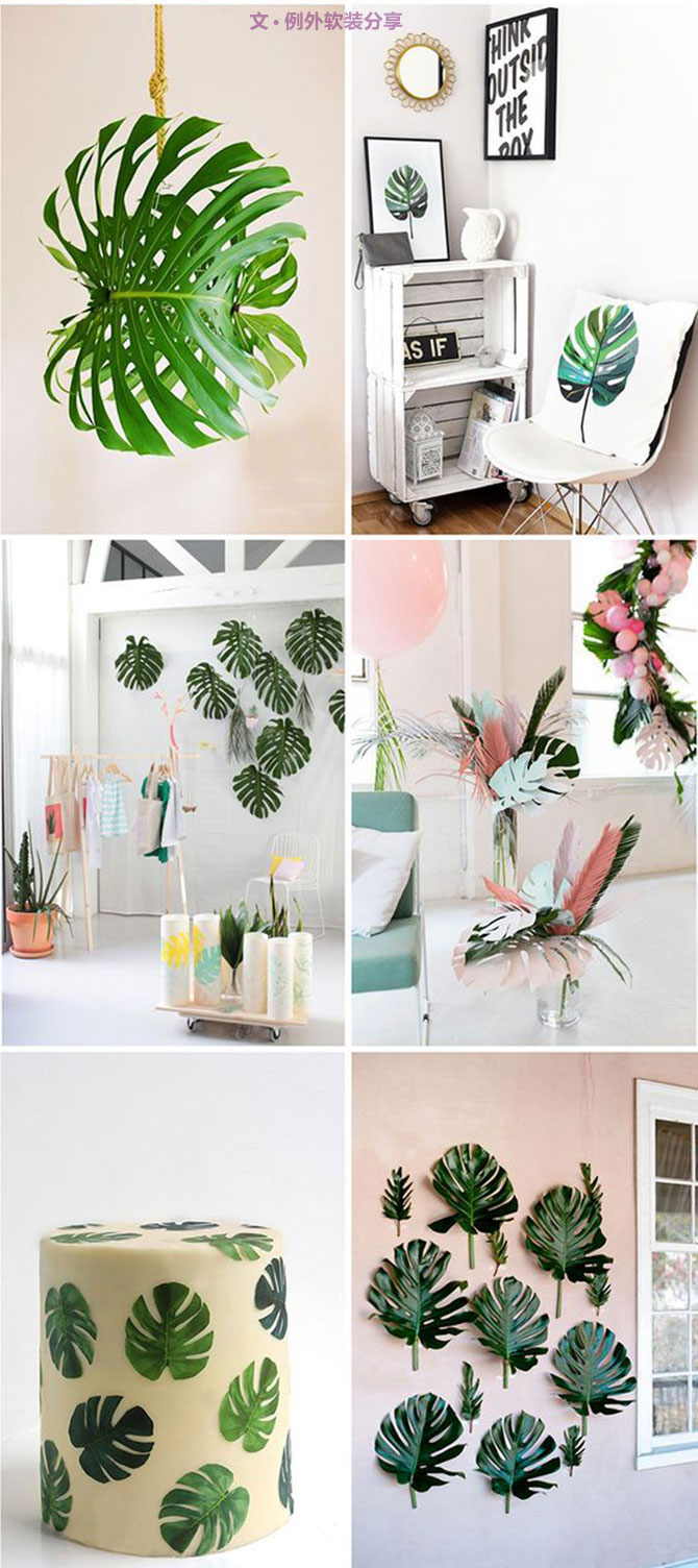 龜背竹遠不止能去除甲醛，原來還有這么多作用！-別墅設計,軟裝設計,室內設計,豪宅設計,深圳例外軟裝設計公司