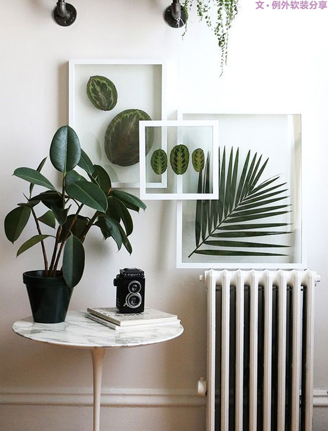 設(shè)計(jì)師居然把植物掛在墻上，徹底玩壞了！-別墅設(shè)計(jì),軟裝設(shè)計(jì),室內(nèi)設(shè)計(jì),豪宅設(shè)計(jì),深圳例外軟裝設(shè)計(jì)公司