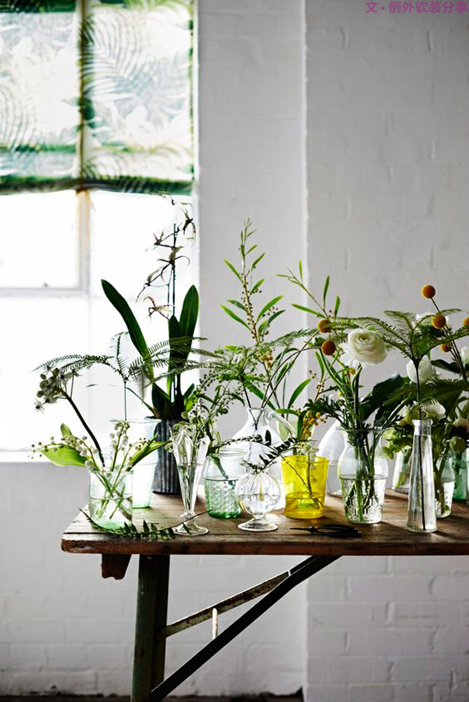 這些自帶天然氣質(zhì)的網(wǎng)紅綠植，都成了設(shè)計界的新寵兒！-別墅軟裝設(shè)計,軟裝設(shè)計,室內(nèi)軟裝設(shè)計,室內(nèi)設(shè)計,豪宅設(shè)計,深圳例外軟裝設(shè)計公司