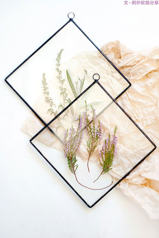 設(shè)計(jì)師居然把植物掛在墻上，徹底玩壞了！-別墅設(shè)計(jì),軟裝設(shè)計(jì),室內(nèi)設(shè)計(jì),豪宅設(shè)計(jì),深圳例外軟裝設(shè)計(jì)公司