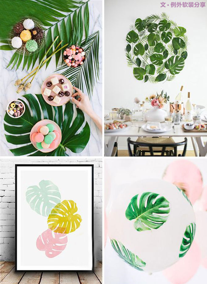 龜背竹遠不止能去除甲醛，原來還有這么多作用！-別墅設計,軟裝設計,室內設計,豪宅設計,深圳例外軟裝設計公司