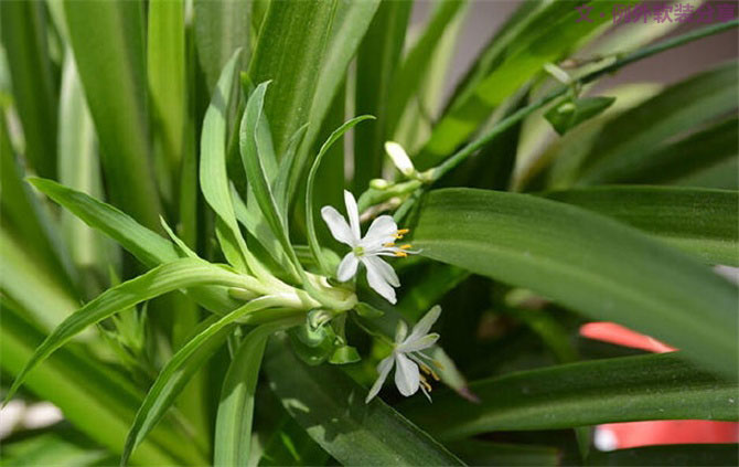 裝修后的房子多久可以入?。坎豢床恢?！-別墅設(shè)計(jì),軟裝設(shè)計(jì),室內(nèi)設(shè)計(jì),豪宅設(shè)計(jì),深圳例外軟裝設(shè)計(jì)公司