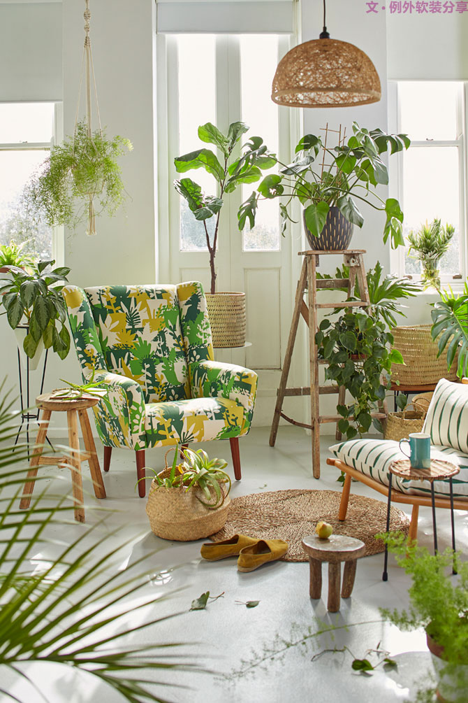 這些自帶天然氣質(zhì)的網(wǎng)紅綠植，都成了設(shè)計界的新寵兒！-別墅軟裝設(shè)計,軟裝設(shè)計,室內(nèi)軟裝設(shè)計,室內(nèi)設(shè)計,豪宅設(shè)計,深圳例外軟裝設(shè)計公司