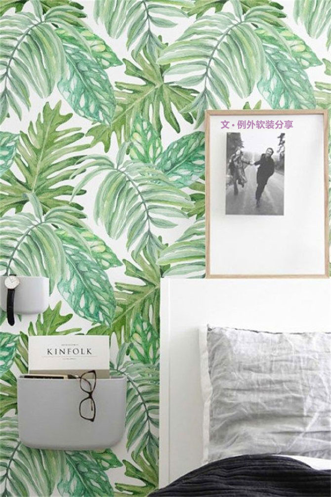 龜背竹遠不止能去除甲醛，原來還有這么多作用！-別墅設計,軟裝設計,室內設計,豪宅設計,深圳例外軟裝設計公司