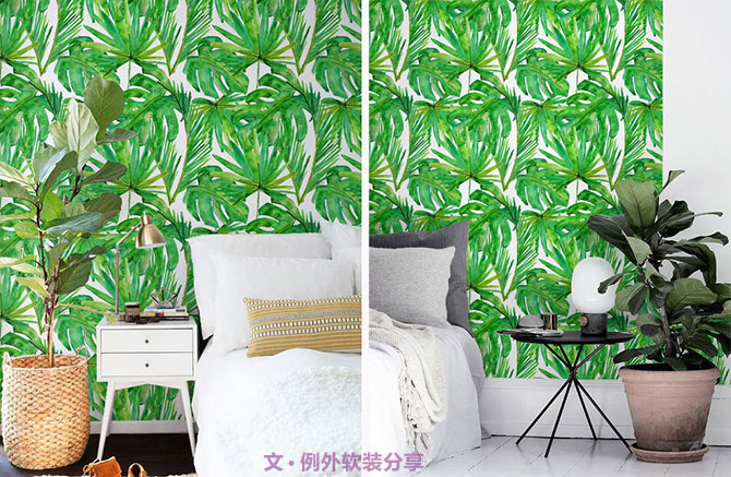 龜背竹遠不止能去除甲醛，原來還有這么多作用！-別墅設計,軟裝設計,室內設計,豪宅設計,深圳例外軟裝設計公司