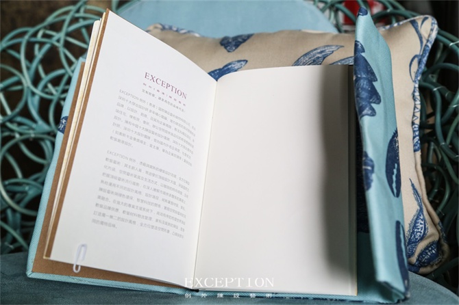 “十雅”魅力綻放，你們注意到女神手上的藍色錦魚了嗎？-別墅設計,軟裝設計,室內(nèi)設計,豪宅設計,深圳例外軟裝設計公司